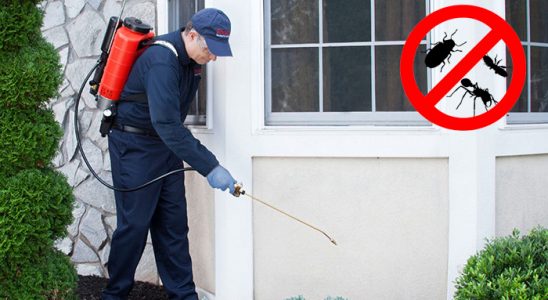 Düzköy Haşere İlaçlama böcek ilaçlama ve haşere kontrolü — ilaclama-tr.com